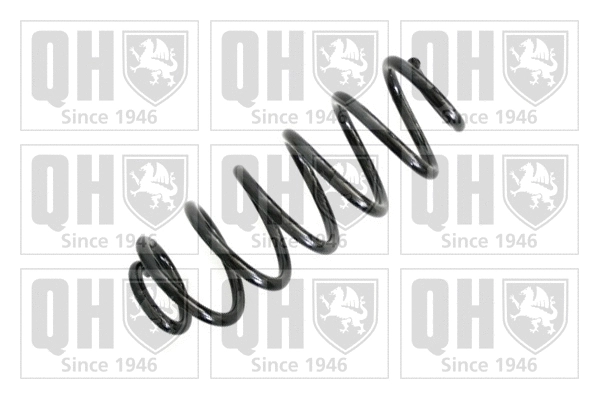 Suspension Spring (QCS6096)