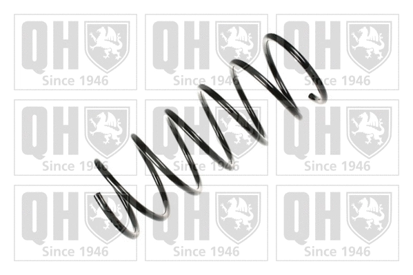 Suspension Spring (QCS6543)