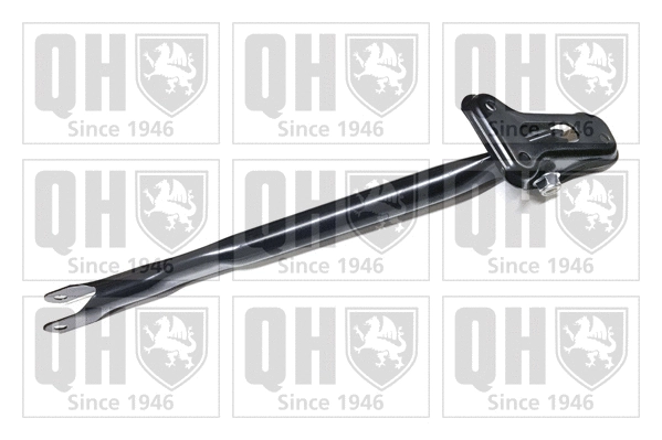 Control/Trailing Arm, wheel suspension (QSJ3796S)