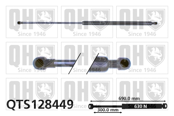 Gas Spring, boot/cargo area (QTS128449)