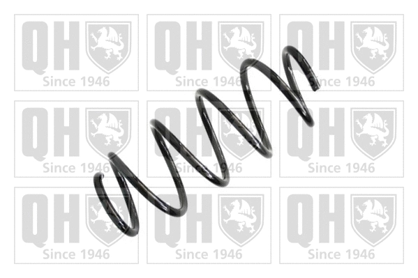 Suspension Spring (QCS6934)
