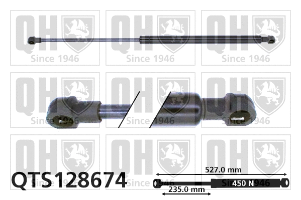 Gas Spring, boot/cargo area (QTS128674)