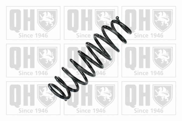 Suspension Spring (QCS7857)