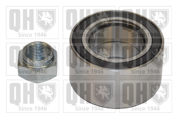 Wheel Bearing Kit (QWB619)