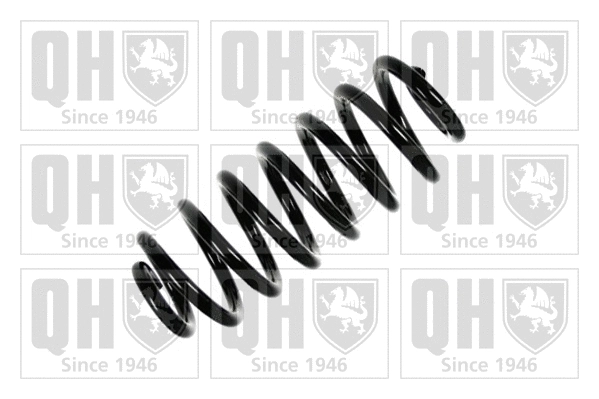 Suspension Spring (QCS8179)