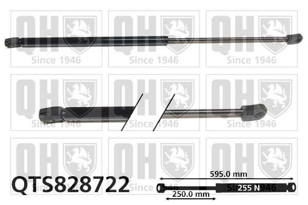 Gas Spring, boot/cargo area (QTS828722)
