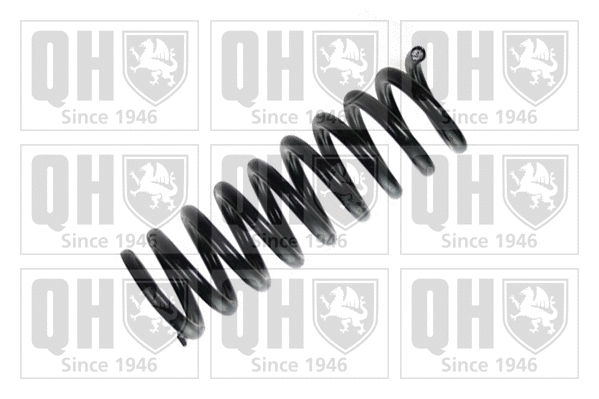 Suspension Spring (QCS5687)