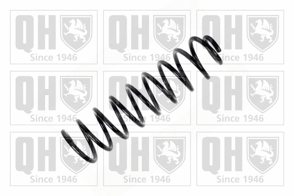 Suspension Spring (QCS7498)