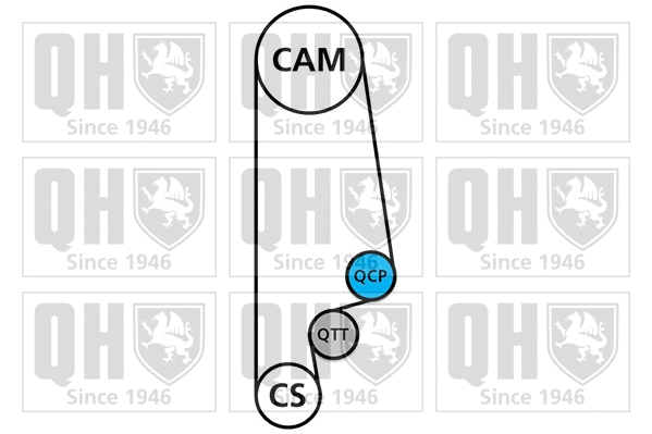 Timing Belt Kit (QBK218)