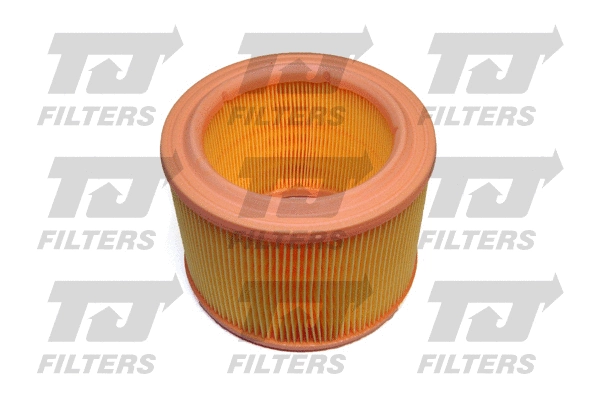 Air Filter (QFA0880)