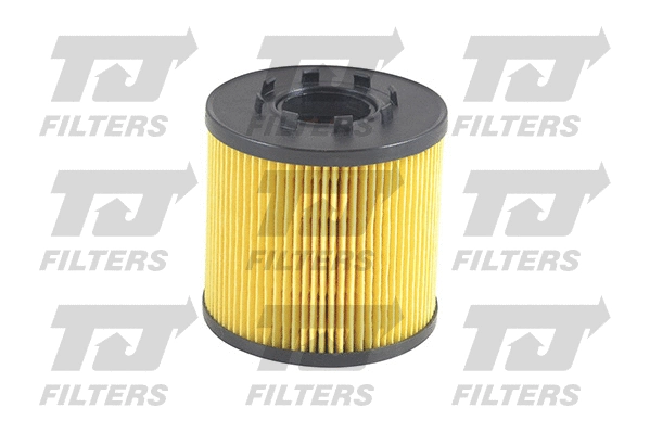 Oil Filter (QFL0103)