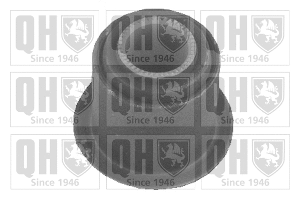 Mounting, control/trailing arm (EMS8011)