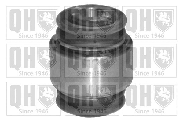 Mounting, control/trailing arm (EMS8133)