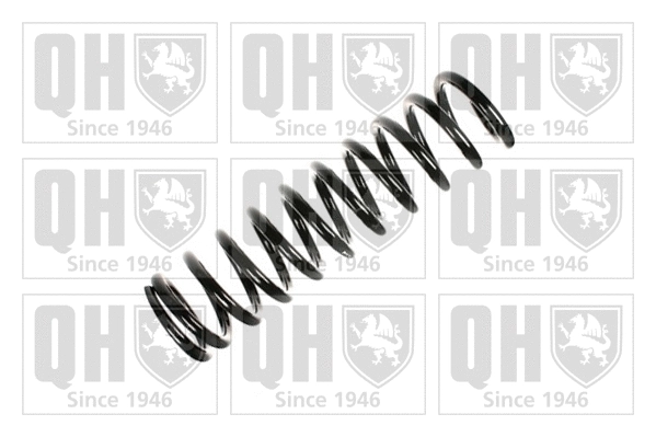 Suspension Spring (QCS7687)