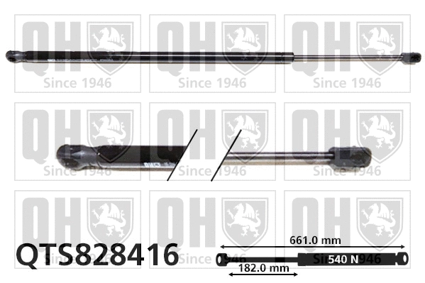 Gas Spring, boot/cargo area (QTS828416)