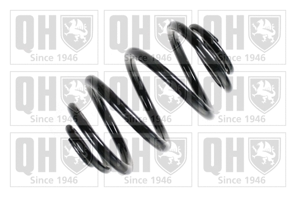 Suspension Spring (QCS7294)