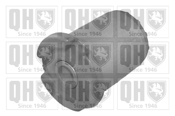 Mounting, control/trailing arm (EMS8103)