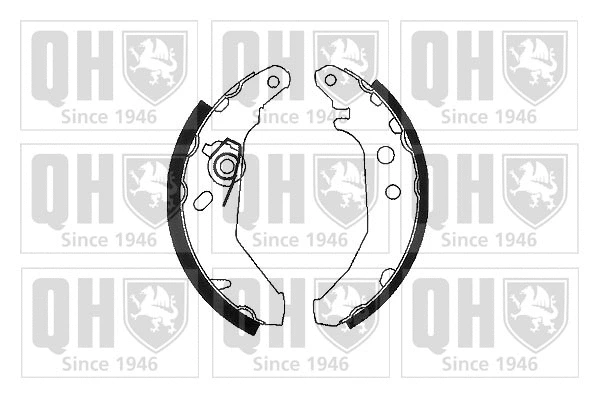 Brake Shoe Set (BS801)
