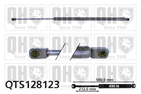 Gas Spring, boot/cargo area (QTS128123)
