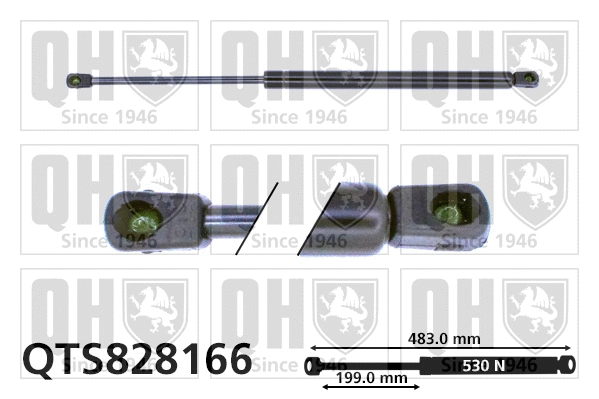 Gas Spring, boot/cargo area (QTS828166)