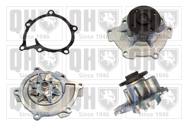 Water Pump, engine cooling (QCP3818)