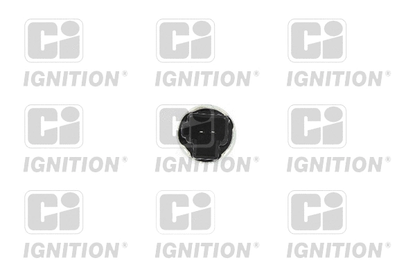 Switch, cruise control (XBLS292)