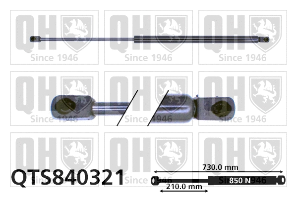 Gas Spring, boot/cargo area (QTS840321)