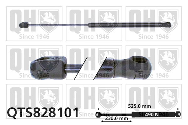 Gas Spring, boot/cargo area (QTS828101)