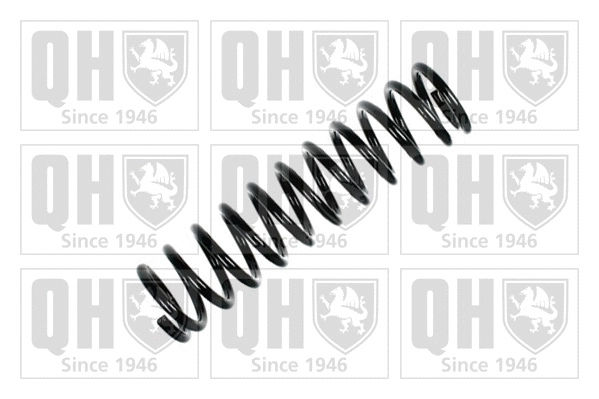 Suspension Spring (QCS5810)