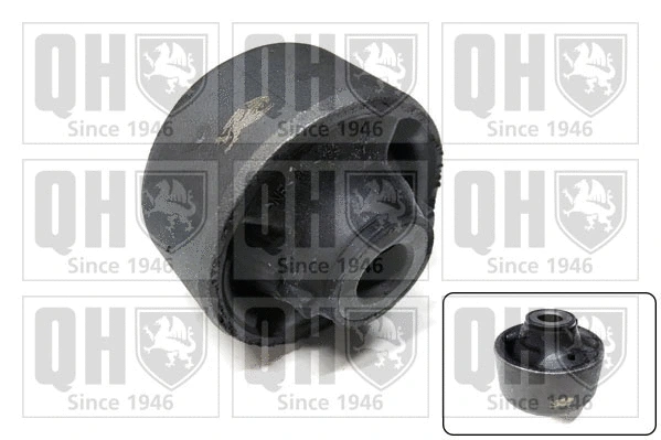 Mounting, control/trailing arm (EMS8468)