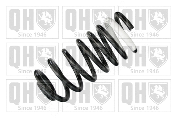 Suspension Spring (QCS6381)