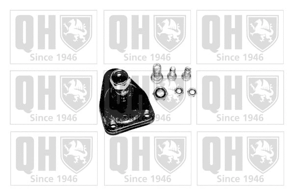 Ball Joint (QSJ887S)