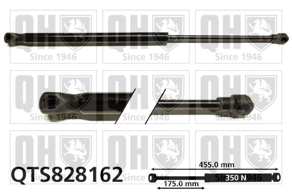 Gas Spring, boot/cargo area (QTS828162)