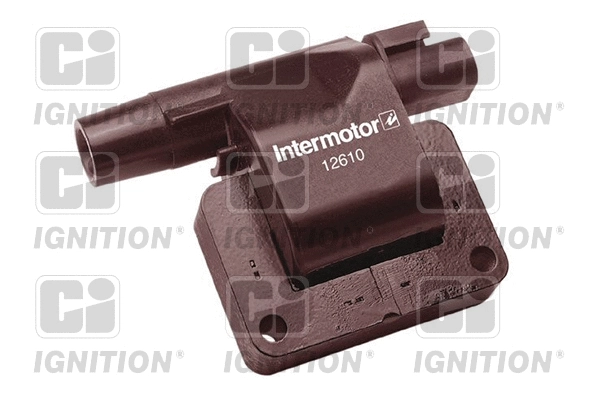 Ignition Coil (XIC8073)
