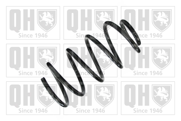 Suspension Spring (QCS8365)