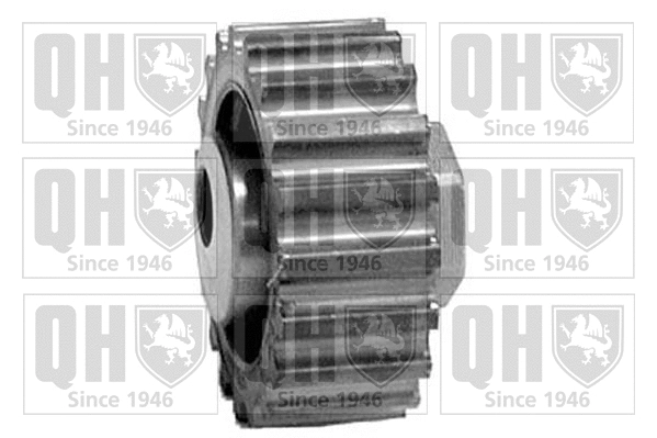 Tensioner Pulley, timing belt (QTT508)