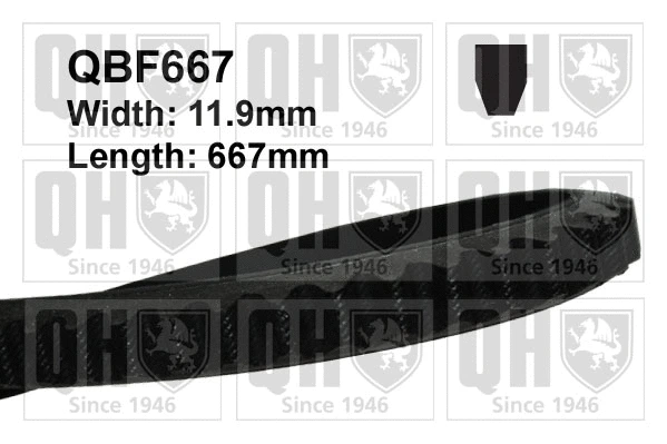 V-Belt (QBF667)