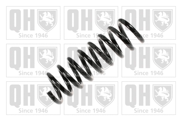 Suspension Spring (QCS7907)