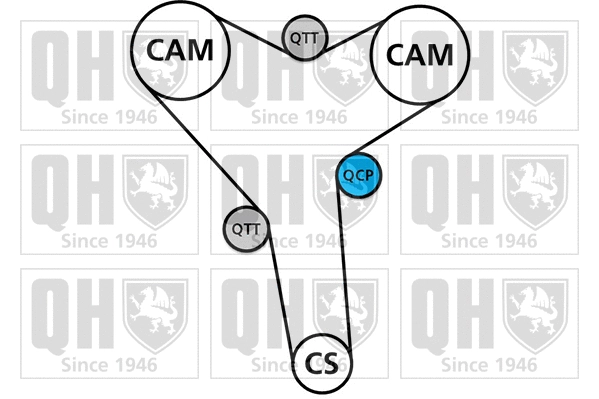 Water Pump & Timing Belt Kit (QBPK8250)