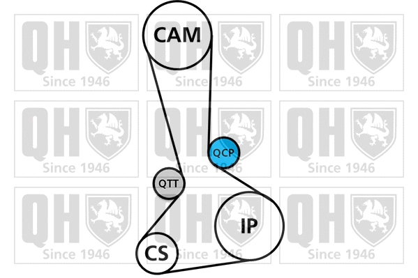 Timing Belt Kit (QBK890)