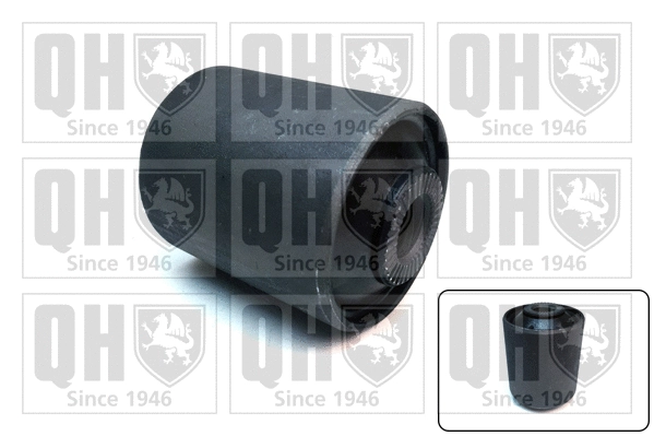 Mounting, control/trailing arm (EMS8625)