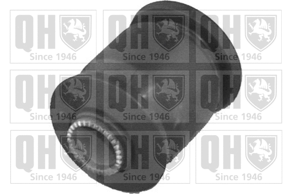 Mounting, control/trailing arm (EMS8307)