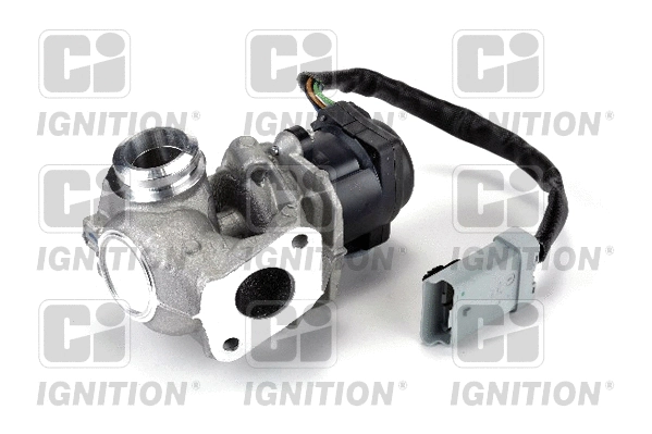 EGR Valve (XEGR36)
