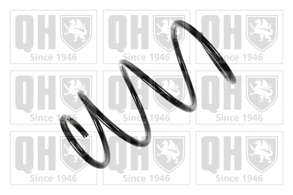 Suspension Spring (QCS8028)