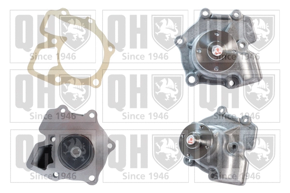 Water Pump, engine cooling (QCP2565)