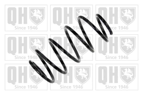 Suspension Spring (QCS7957)
