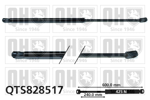 Gas Spring, bonnet (QTS828517)