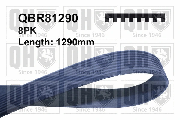 V-Ribbed Belt (QBR81290)