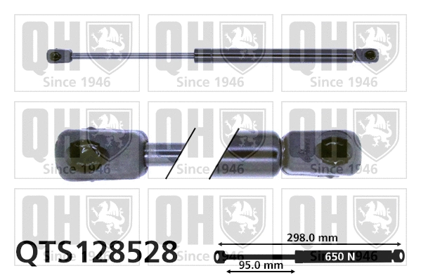 Gas Spring, boot/cargo area (QTS128528)