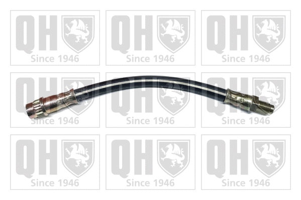 Brake Hose (BFH4519)